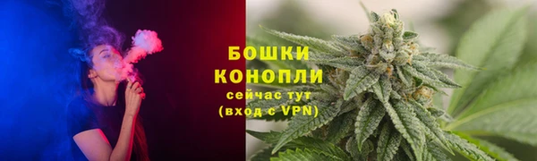 гидропоника Пересвет