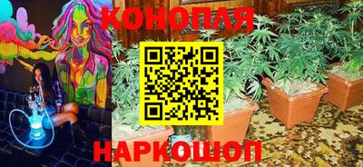 эйфоретик Краснодар