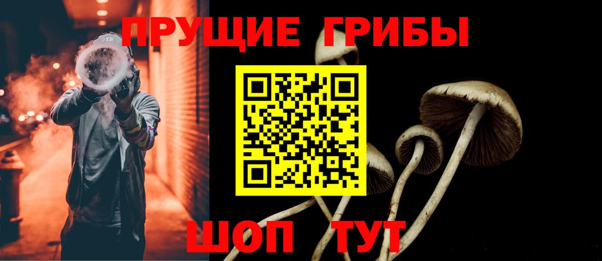 Галлюциногенные грибы мухоморы  где найти наркотики  Вход с VPN  Железногорск  Галлюциногенные грибы мухоморы 